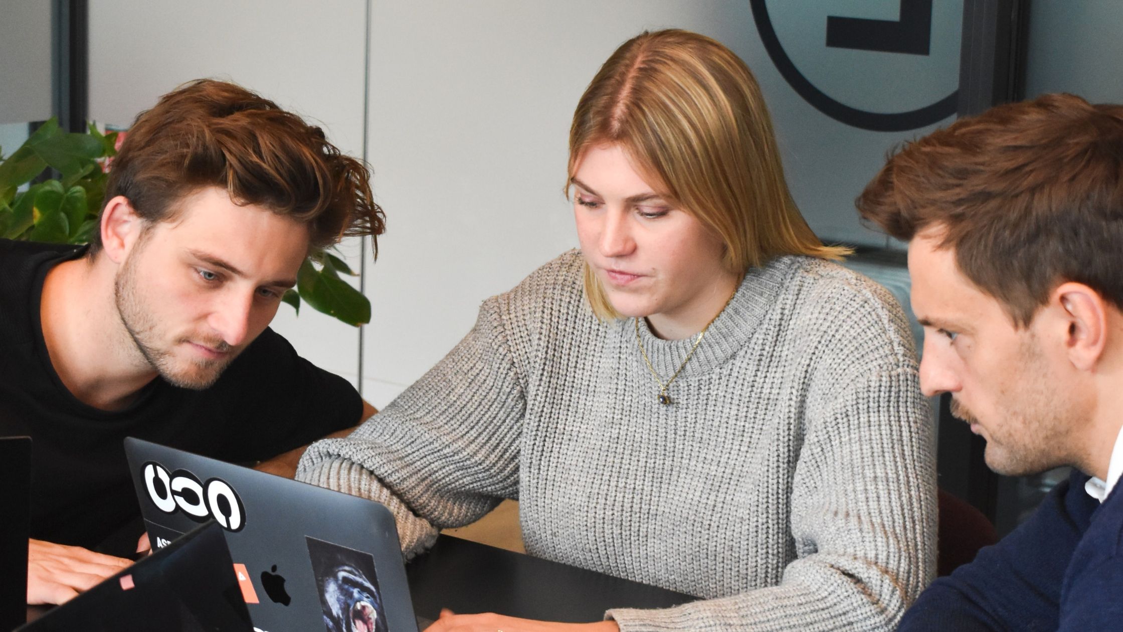 Traineeship Communicatie